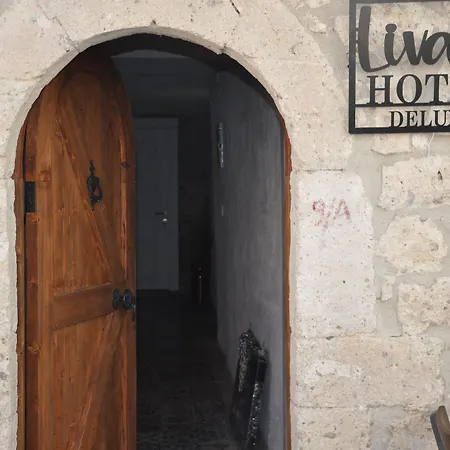 Livan Deluxe Hotel 3*